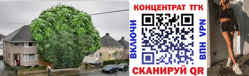 Дистиллят ТГК гашишное масло  mega ТОР  Пласт 