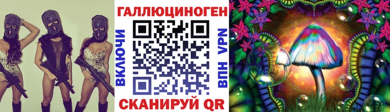 Псилоцибиновые грибы мицелий  Пласт 